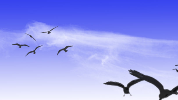 鸟儿在飞行-插图图片下载