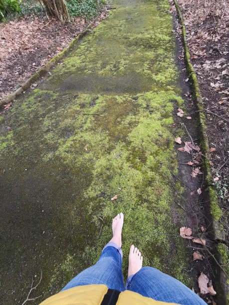 竖版赤脚走在长满苔藓的绿色小路上的年轻女人照片图片下载