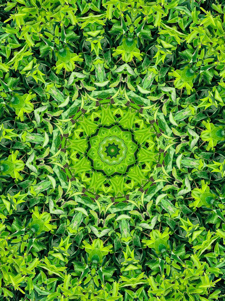 万花筒油画的叶子背景图片下载