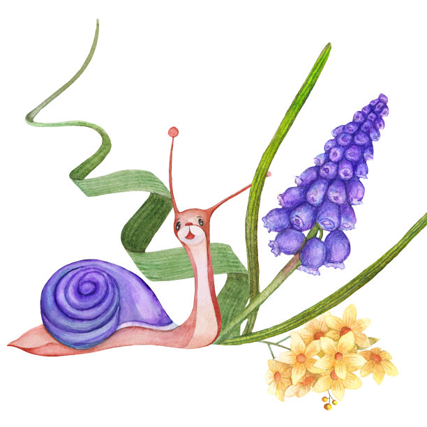 春天花朵中的小蜗牛的水彩画。图片下载