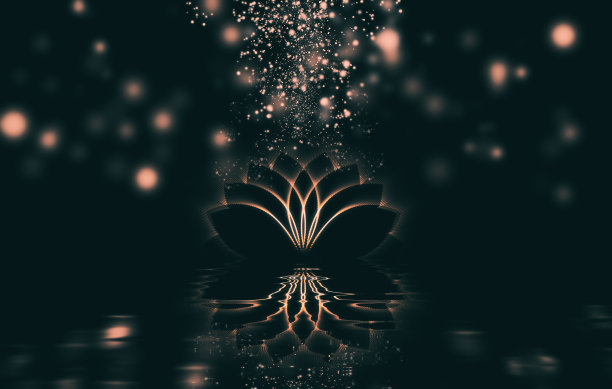 抽象的荷花与反思图片下载