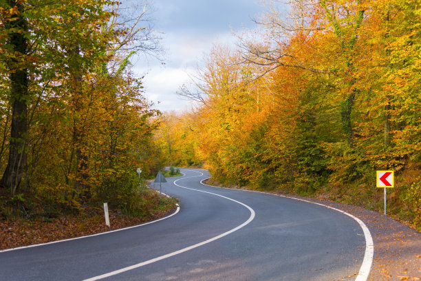 秋天蜿蜒的山路穿过一片森林图片下载