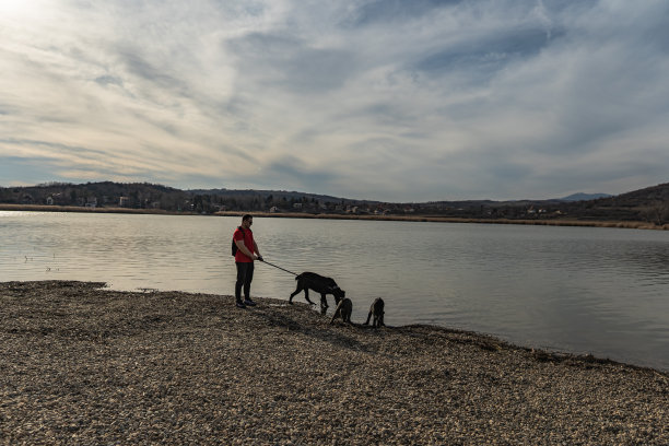 在湖上和他狗的男人的广角照片图片下载