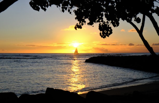 金色的威基基日落与豪树框架的照片和帆船在地平线上。图片下载