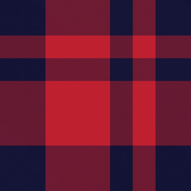 彩色经典现代格子呢无缝印花/图案向量图片下载