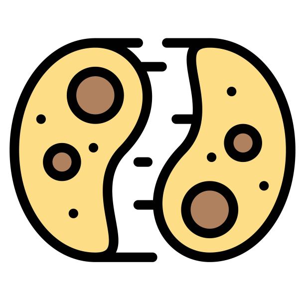 细胞分裂矢量插图，填充样式图标图片下载