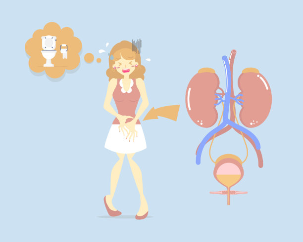 女人需要大小便，抱着膀胱，大小便，保健，膀胱炎概念，卫生，大小便失禁概念图片下载