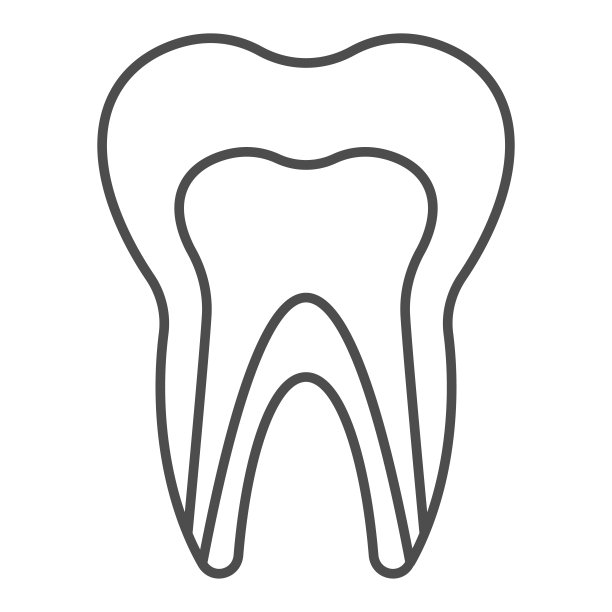 人类牙齿模型细线图标。健康牙齿结构轮廓视图符号，轮廓风格象形图在白色背景上。牙科标志的移动概念和网页设计。矢量图形。图片下载