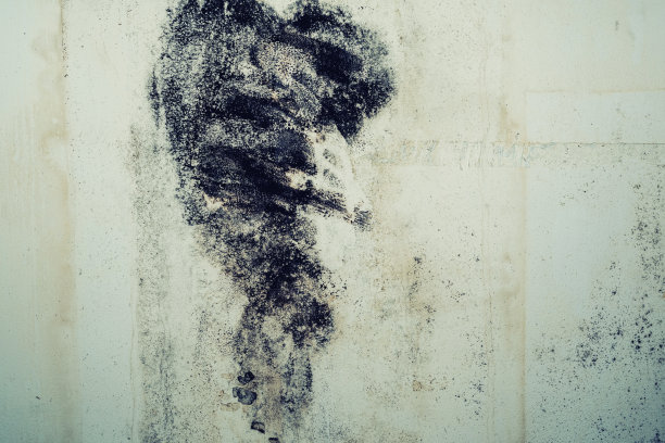 霉菌墙的特写图片下载