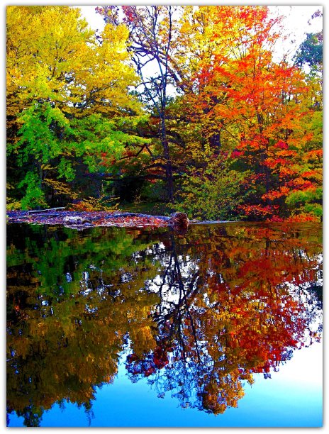 在瀑布图片下载