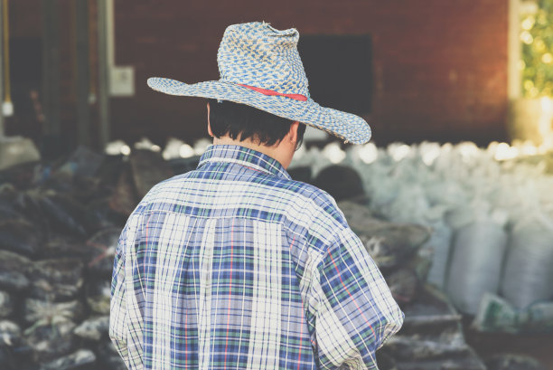 农民使用有机肥料图片下载