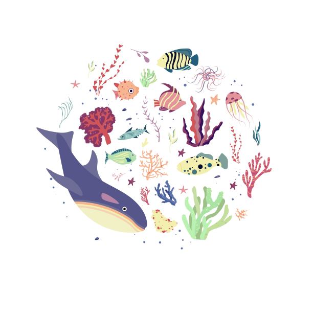 海底世界的居民，植物和动物群元素。鱼类和水母，海豚，虎鲸，鲨鱼。向量卡通插图。图片下载