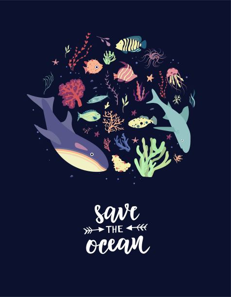 海底世界的居民，植物和动物群元素。鱼类和水母，海豚，虎鲸，鲨鱼。向量卡通插图。图片下载