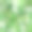 水彩手绘自然热带无缝图案，以绿色不同的棕榈叶构成白色背景，丛林植物印花为设计元素和纺织品素材图片