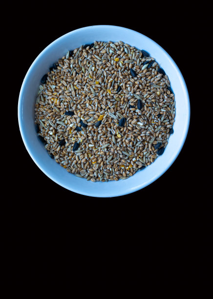 什锦野鸟食图片下载