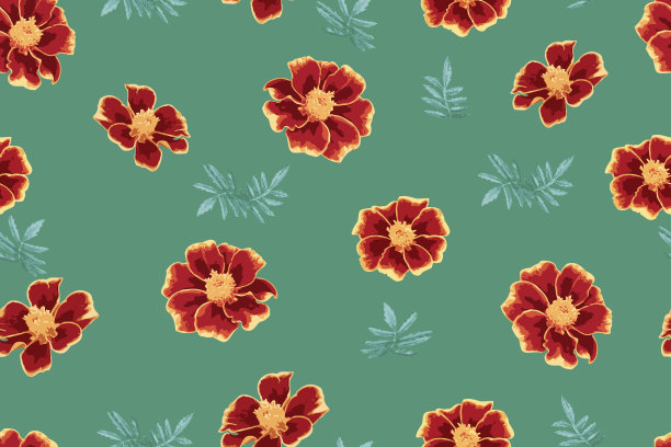 装饰园林花，孤立。无缝的花卉图案素材图片