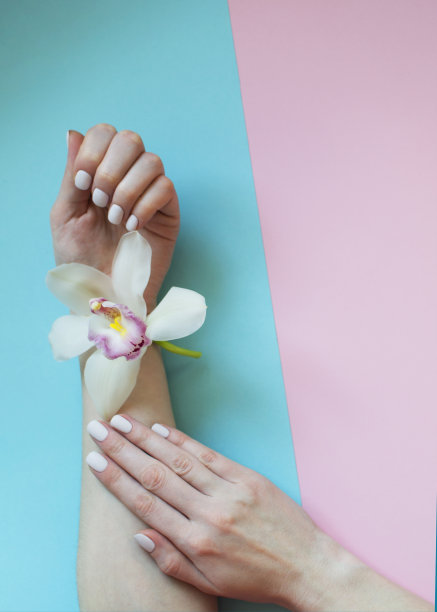 漂亮而温柔的女性美甲图片下载