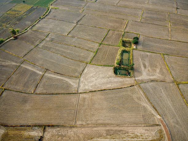 一大片农田准备种植水稻的航拍照片，无人机摄影图片下载