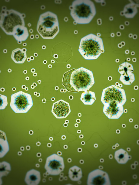 抽象的病毒图片下载