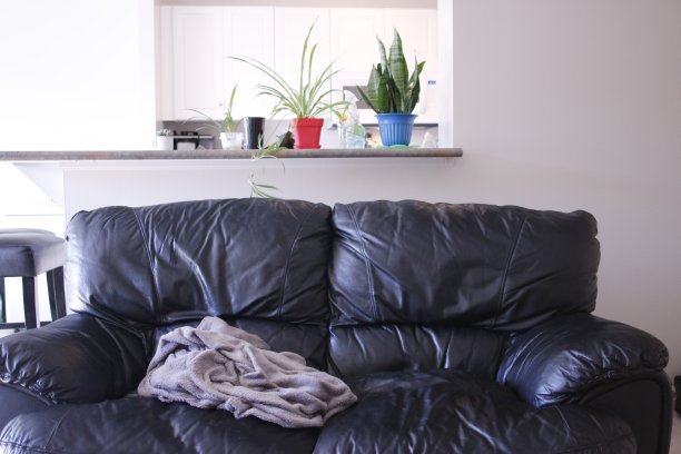 黑色皮革沙发室内照片图片下载