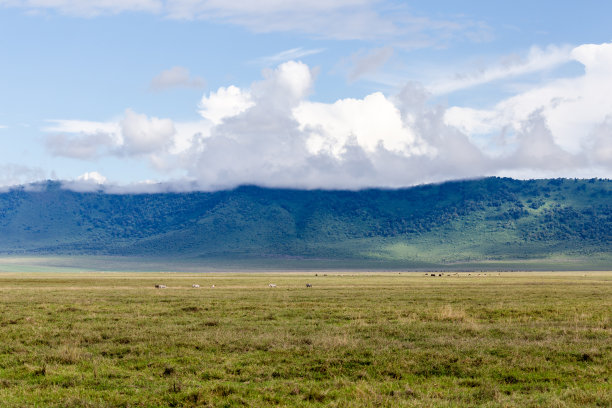 的恩戈罗恩戈罗图片下载