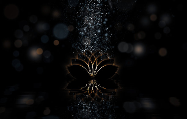 抽象背景与荷花图片下载