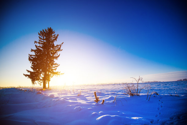 冬天的美丽风景图片下载