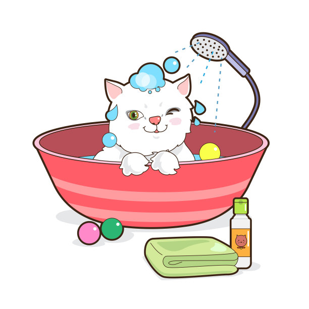 猫洗澡图片下载