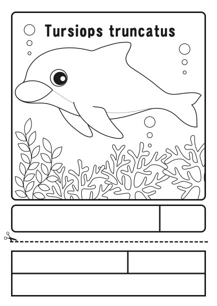 涂色图木贼人物插图图片下载