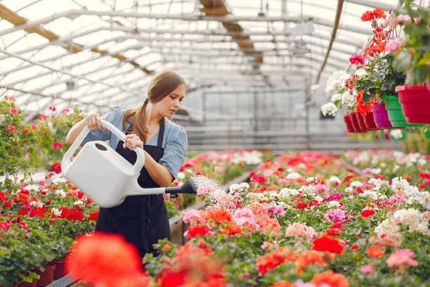 在温室工作的围裙女人图片下载