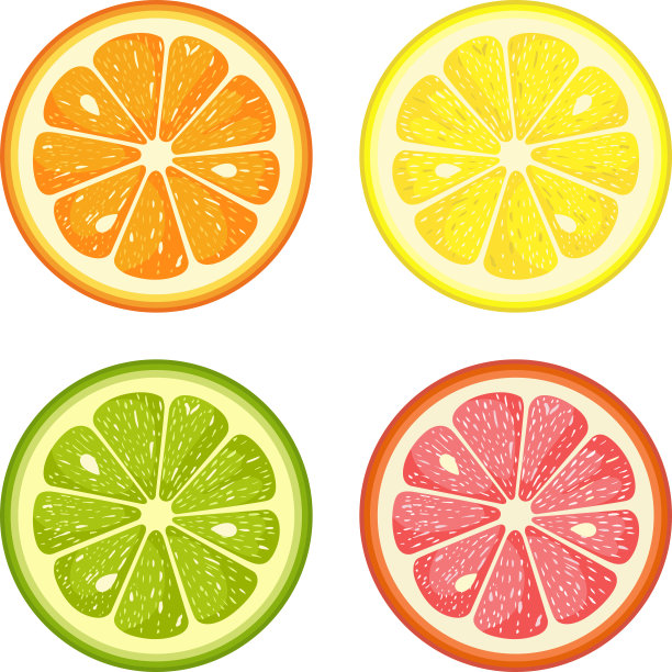 柑橘类水果，圆形，切片，孤立，白色图片下载