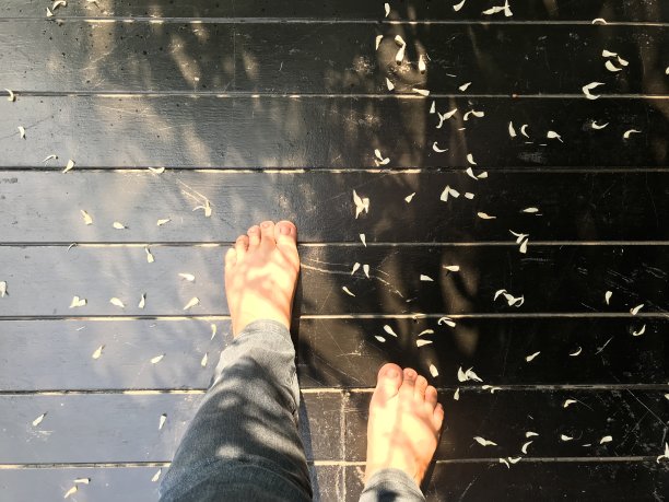 行走或站立在木地板上的女人图片下载