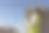 建筑师或工程师在施工现场持有蓝图图片下载