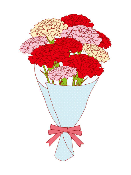 康乃馨花束插图与线条图片下载