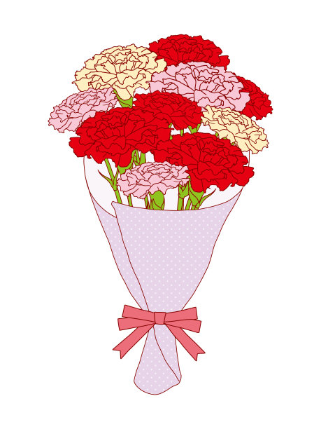 康乃馨花束插图与线条图片下载