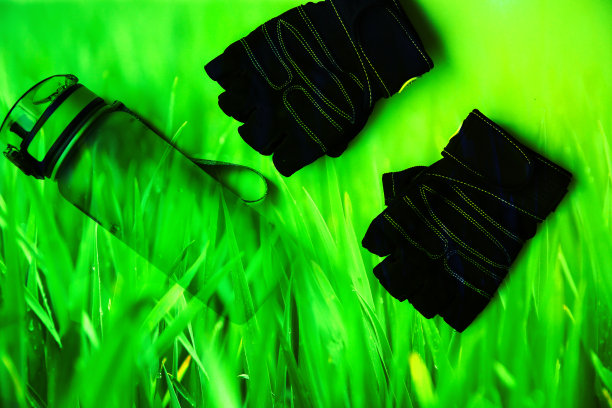 健身手套，绿色瓶装水。运动,自然的概念。图片下载