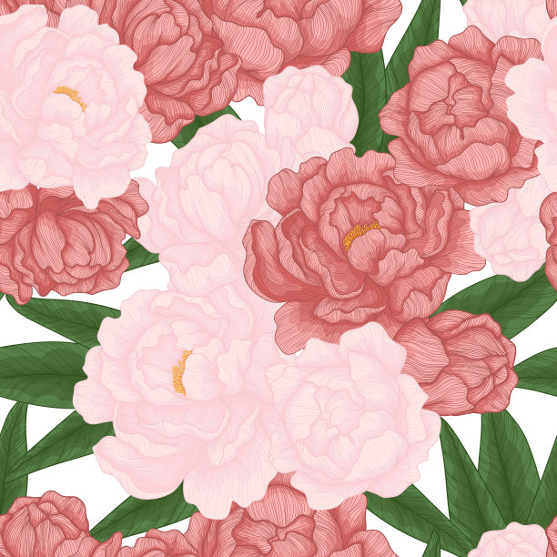 矢量无缝模式与手绘粉红色盛开的牡丹和叶子。白色的花重复的背景。设计浪漫的天然化妆品，香水，女性产品。可以作为贺卡或婚礼背景吗图片下载