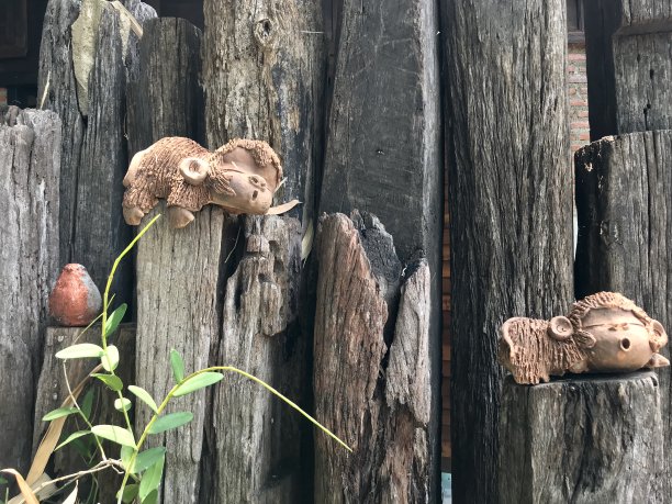 园林装饰用原木树图片下载