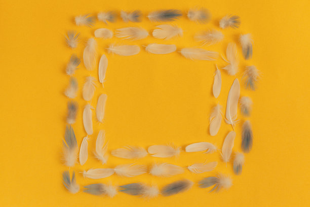 背景与柔软的白色羽毛图案在黄色的背景。图片下载