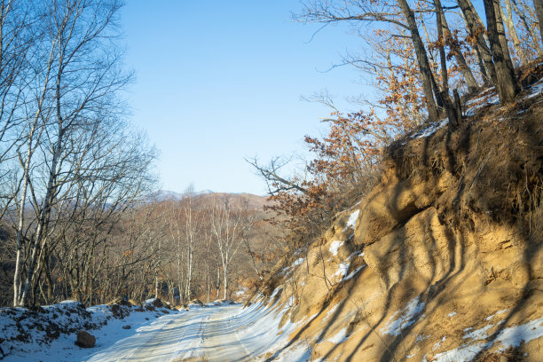 皑皑白雪覆盖的道路在森林中间的群山中图片下载
