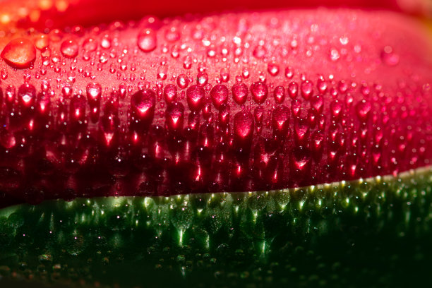 充满活力的红色和绿色的水滴多汁的新鲜图片下载