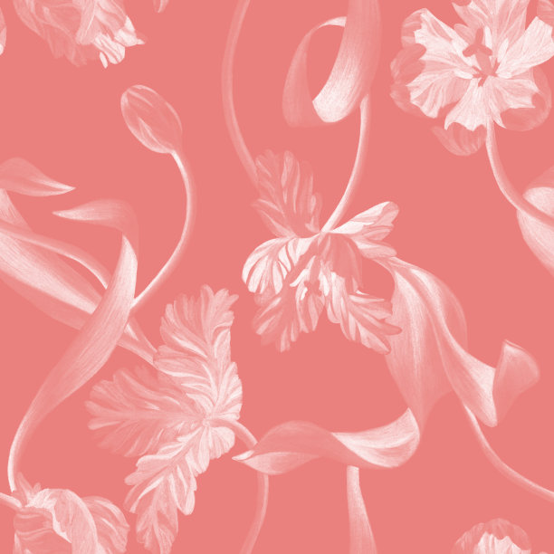 花卉无缝模式。图片下载