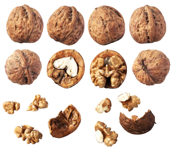白色背景上孤立的核桃?集。图片下载