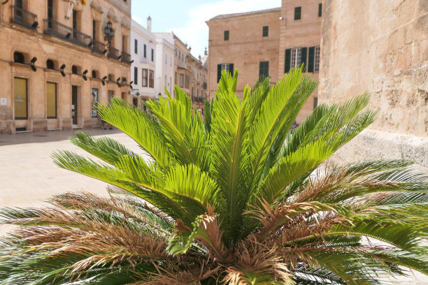 梅诺卡岛的Ciutadella老城图片下载