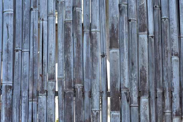 密集的竹篱笆图片下载