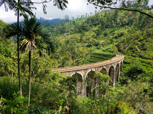 斯里兰卡丛林中著名的铁路九孔桥图片下载