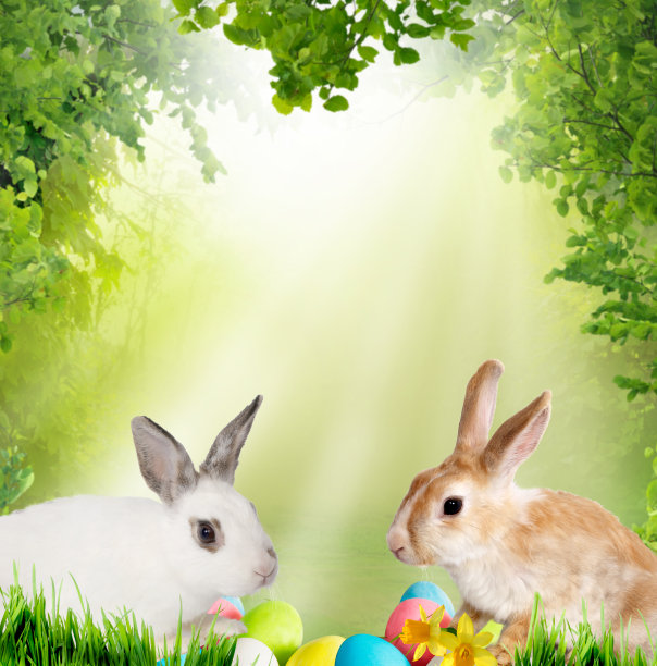 复活节的背景。可爱的小兔子和复活节彩蛋在绿色的草地上图片下载