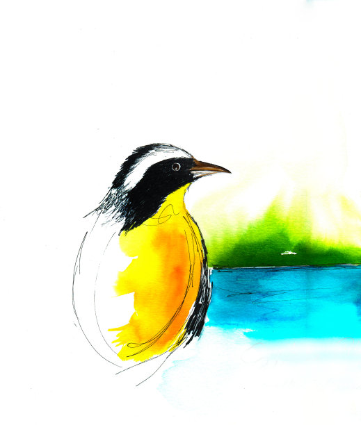 这只大鸟(Pitangus suluratus)，看着这条河。“我看到你很好。”图片下载