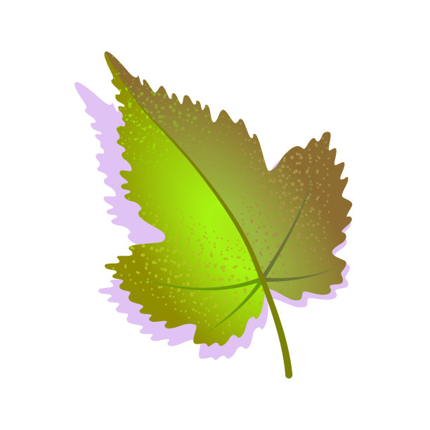 绿色的葡萄叶子带有阴影，孤立在白色的背景上。现实主义单一的自然符号，生态符号扁平化元素。股票矢量插图。农业标志设计图片下载