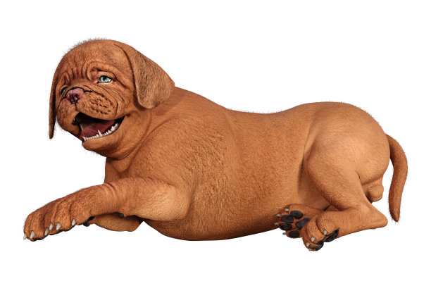 3D插图可爱的小狗在白色图片下载